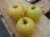 jablon-golden-delicious2-floravi.pl