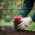 jablon-floravi.pl