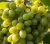 winorosl-winogrono-rusbol1-floravi.pl