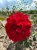 IMG_3842_11zon.webp
