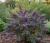 Gemini_Generated_Image_a0m6dja0m6dja0m6_11zon_11zon.webp