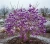 Gemini_Generated_Image_xp64ckxp64ckxp64_11zon_11zon.webp