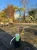 bez-czarny-golden-tower3-floravi.pl