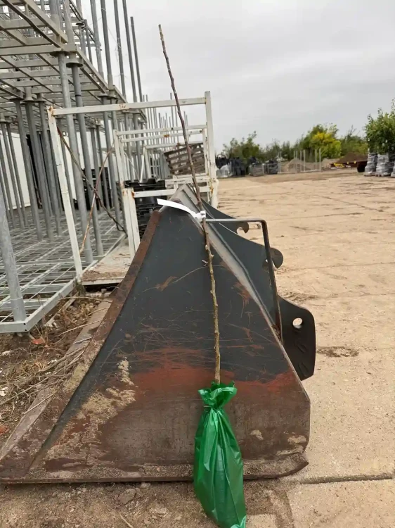 jablon-w-balocie-floravi.pl