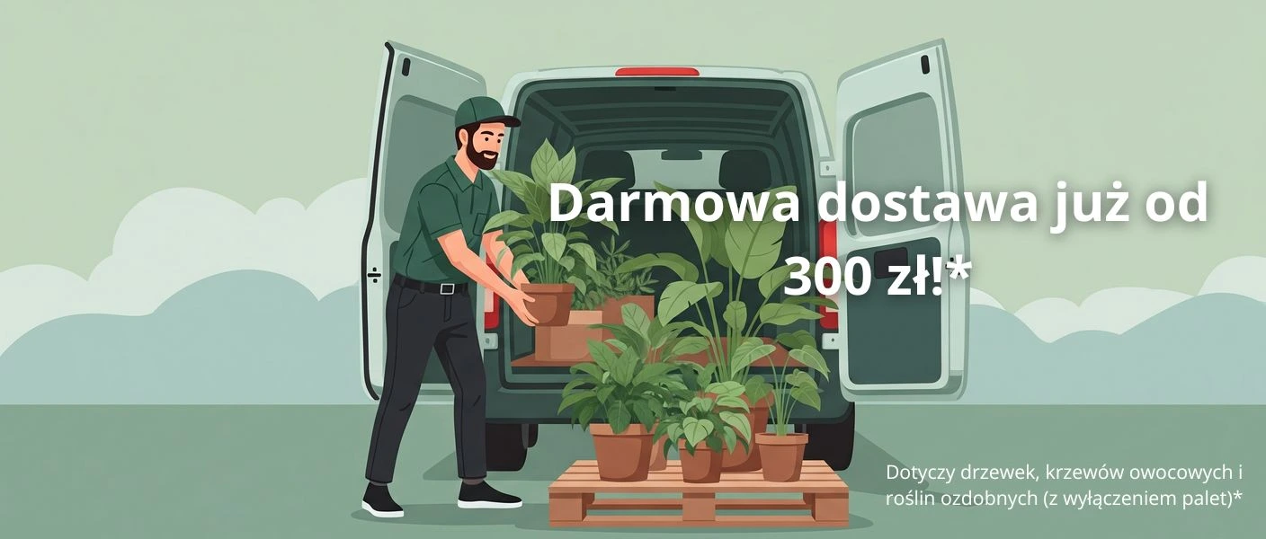 Dostawa